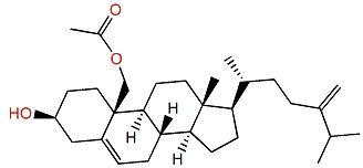 Nephtheasteroid B